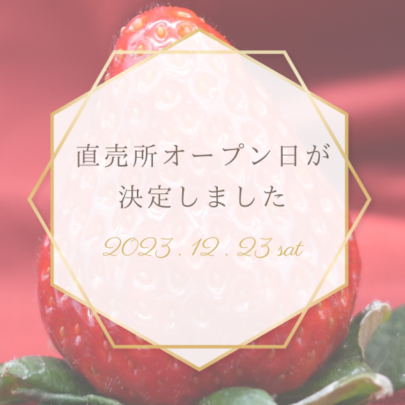 いちごの古都オープンについて