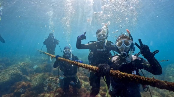 楽しいダイビング