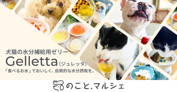 のこと。マルシェ：Gelletta Plus+ 下部尿路ケア（豚レバー）