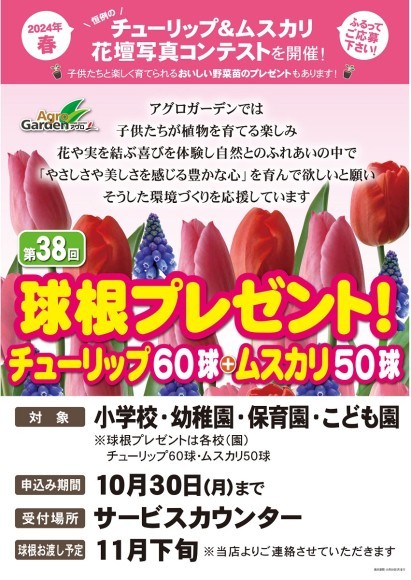 球根プレゼントに関するポスター