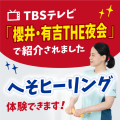 TBS紹介記念　へそヒーリング体験会