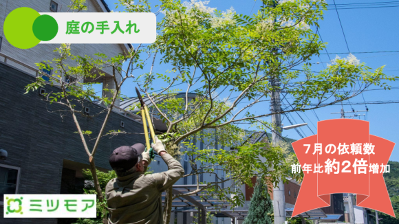 ミツモア「庭の手入れ」依頼数が前年同月比約２倍！ 「庭木の剪定」を活用したご近所トラブル防止が伸びの一因に