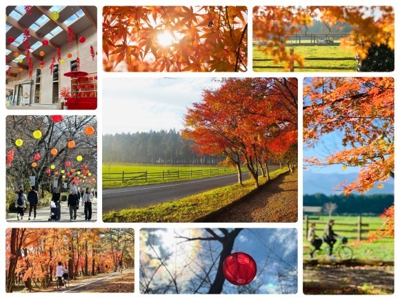 牧場ならではの紅葉を楽しむ「那須千本松牧場 紅葉デイズ2025」を初開催