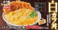 ふわたま白カツ丼(梅)