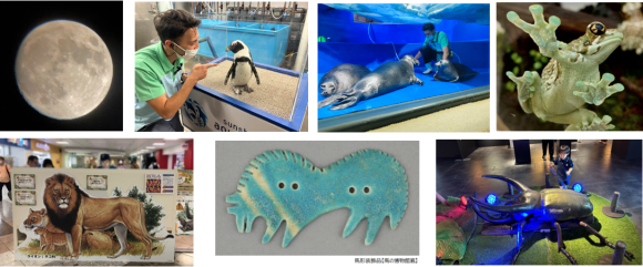 画像はイメージです。