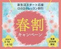 ロミロミレッスン料が最大1万円割引【春割キャンペーン】