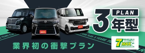 3年型　セブンマックス