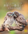 『世界で一番美しい　フクロウ図鑑』