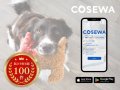 Cosewaの利用件数、100件を突破！