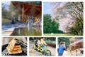 【那須千本松牧場で春を満喫】 桜のトンネル、露天風呂、新商品も！見逃せない春の楽しみ5選