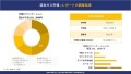 混合ガス市場の傾向分析と将来予測：地域概要