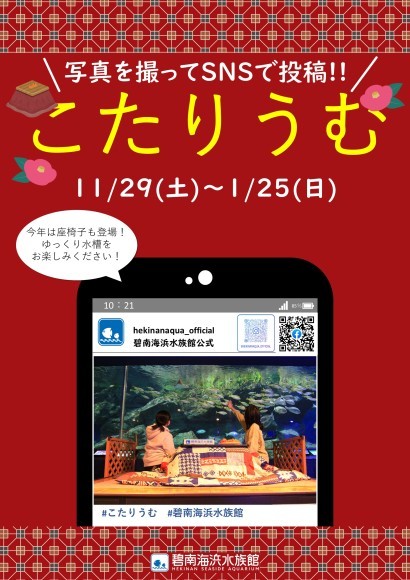 こたりうむポスター