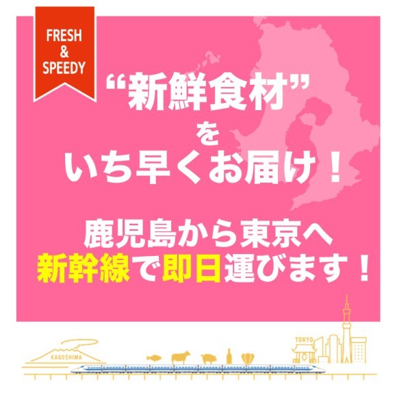 “新鮮食材”をいち早くお届け！鹿児島から東京へ新幹線で即日運びます！