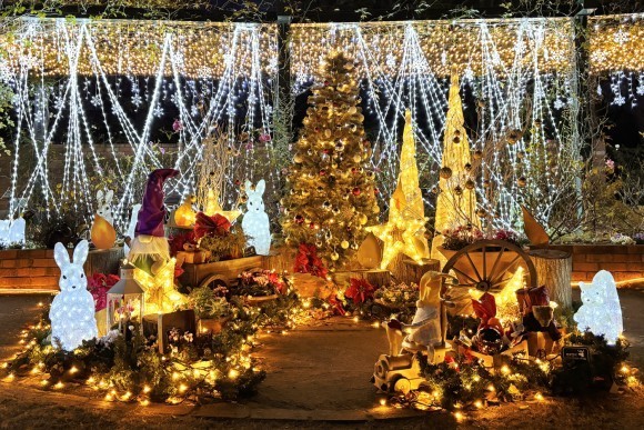 練馬区立 四季の香ローズガーデン　ガーデンイルミネーション開催