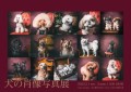 犬の肖像写真展