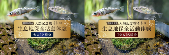 ふるさと納税那須塩原市天然記念物イトヨ生息地保全活動体験