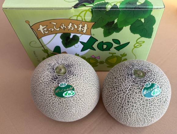茨城県鉾田市産メロン