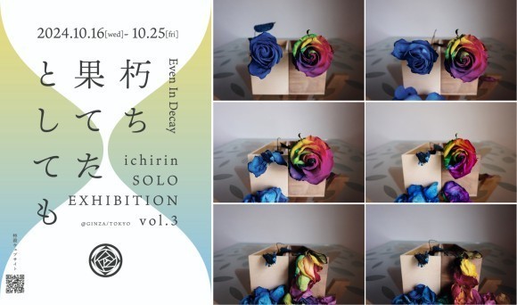 ichirin SOLO_EXHIBITION_vol.3