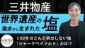 〈三井物産〉世界遺産で生まれた塩で、“エコな選択”を広げたい。