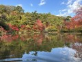 長谷池の紅葉