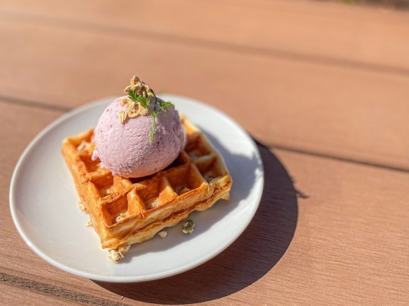 豆腐ワッフル~ベリーヨーグルトアイス~