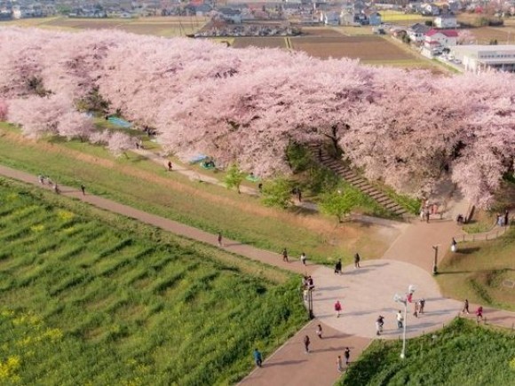 伝統産業集約化・内製化支援事業費補助金