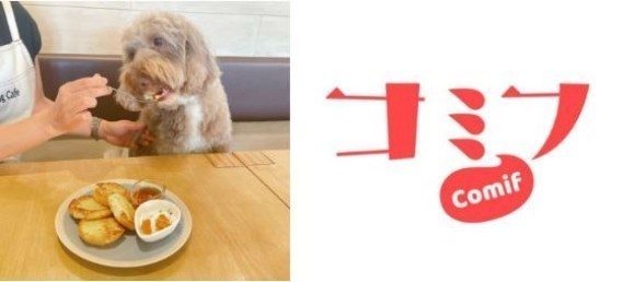 愛犬メニューをシェア！大豆ヨーグルトを使った「コミフ」スイーツ第二弾販売！