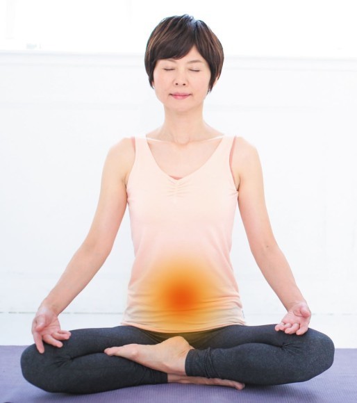 HPなどに使用しているアンシーの写真です。