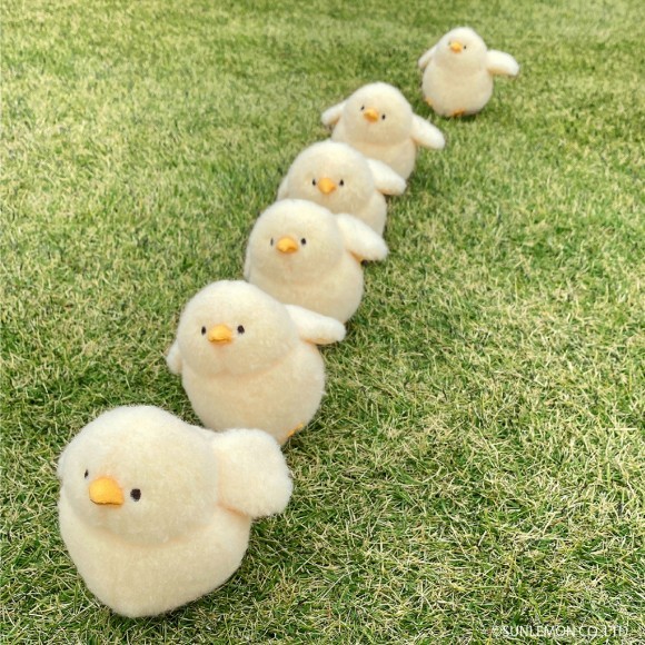 「ぽわびより」シリーズから待望の「ひよこ」が新登場！