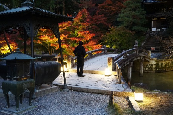 知恩院ライトアップ 過去開催時の様子 ー KITATOSHIデザインライトアップ