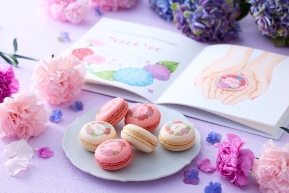 ピースフルマカロン　イメージ