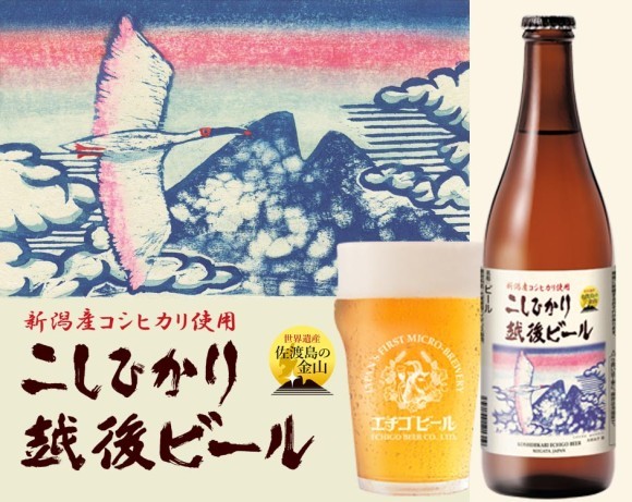 こしひかり越後ビール 佐渡ラベル 500ml瓶