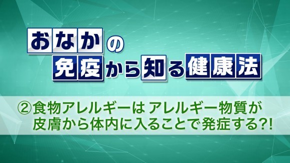 おなかの免疫から知る健康法