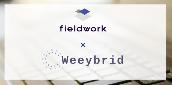 weeybrid,llc x fieldwork