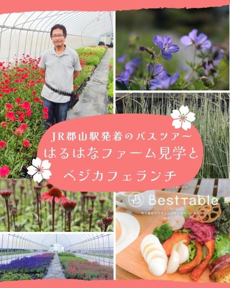 はるはなファーム見学とベジカフェランチ