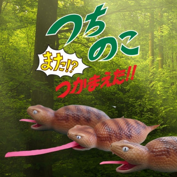 つちのこまた!?つかまえた!!イメージ