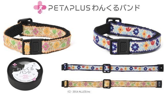 ペタプラス『わんくるバンド』画像