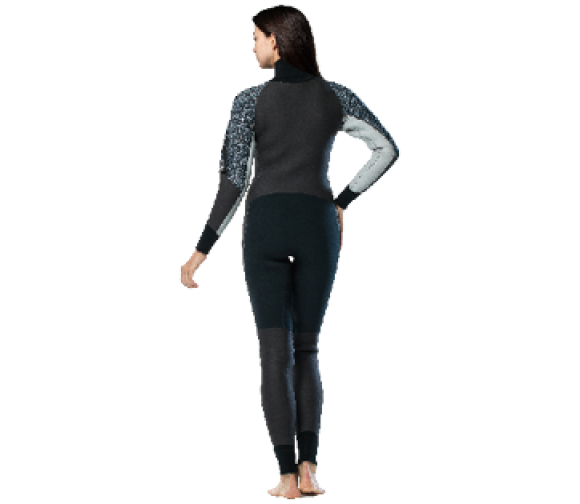 セミドライ　背面