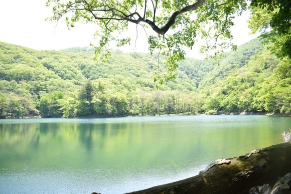 国立公園の大自然を感じ、五感で学ぶ体験ツアー開始＠北海道えりも