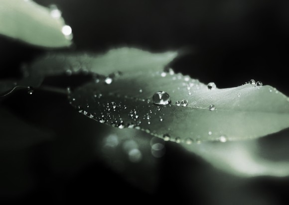 【連載】写真短歌（１８）・・川喜田 晶子｜きらめきぷらす