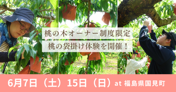 【6月7日（土）、15日（日）@福島県国見町】桃の袋掛け体験を開催