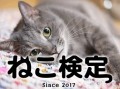 累計受験者2万人を超えたねこ検定