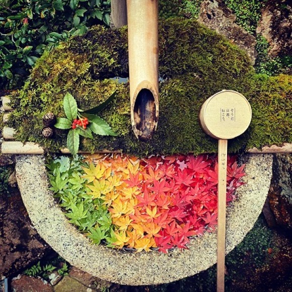 柳谷観音楊谷寺のもみじ手水