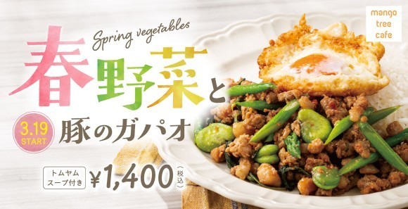 マンゴツリーカフェ「春野菜と豚のガパオ」