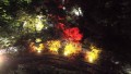 ライトアップされた紅葉