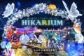 HIKARIUM2025　メインビジュアル