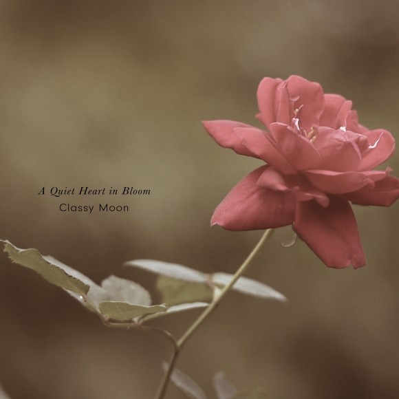 Classy Moon / A Quiet Heart in Bloom