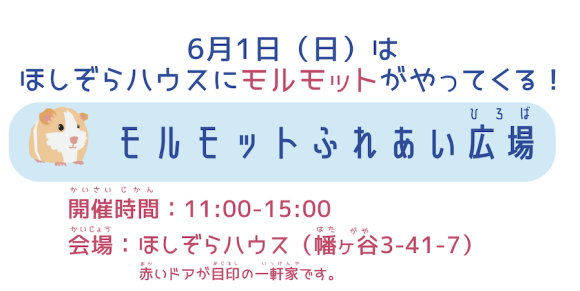 6/1  モルモットふれあい広場の情報です。