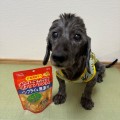 犬専用おやつ「チップス」シリーズ