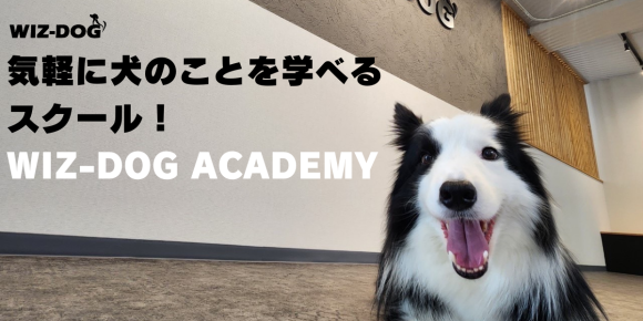 気軽に犬のことが学べるスクール！